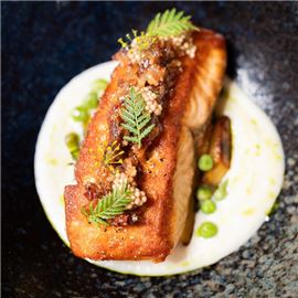 Verlasso Salmon